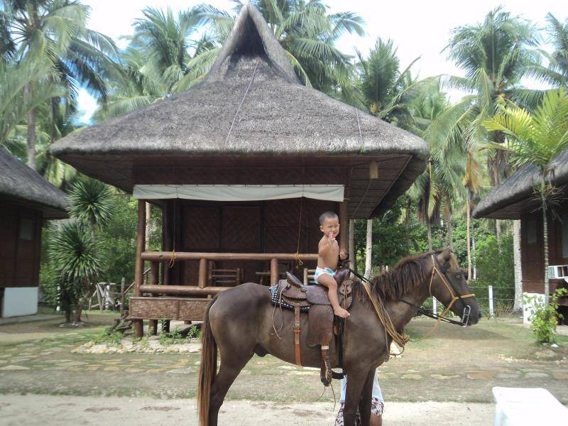 Photo of Others in Masbate Province