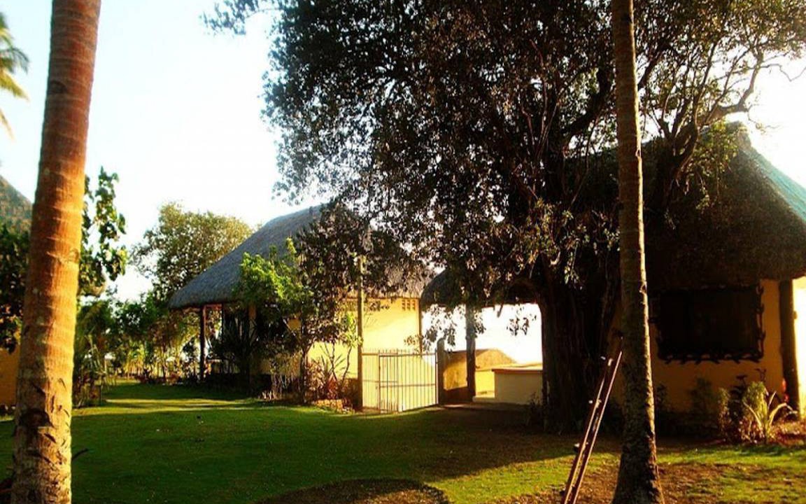 Photo of Others in Donsol