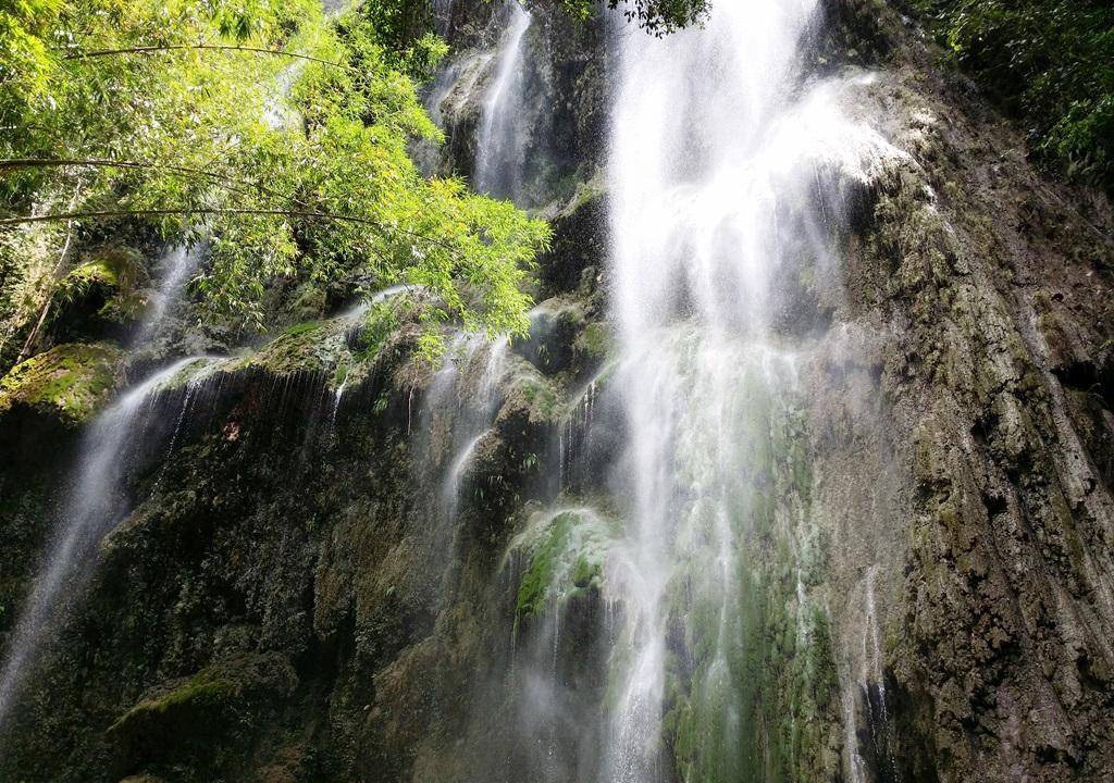 Photo of Others in Oslob