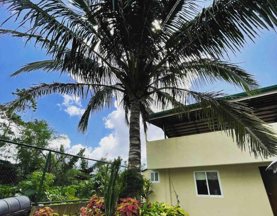 Photo of Buildings in Amadeo