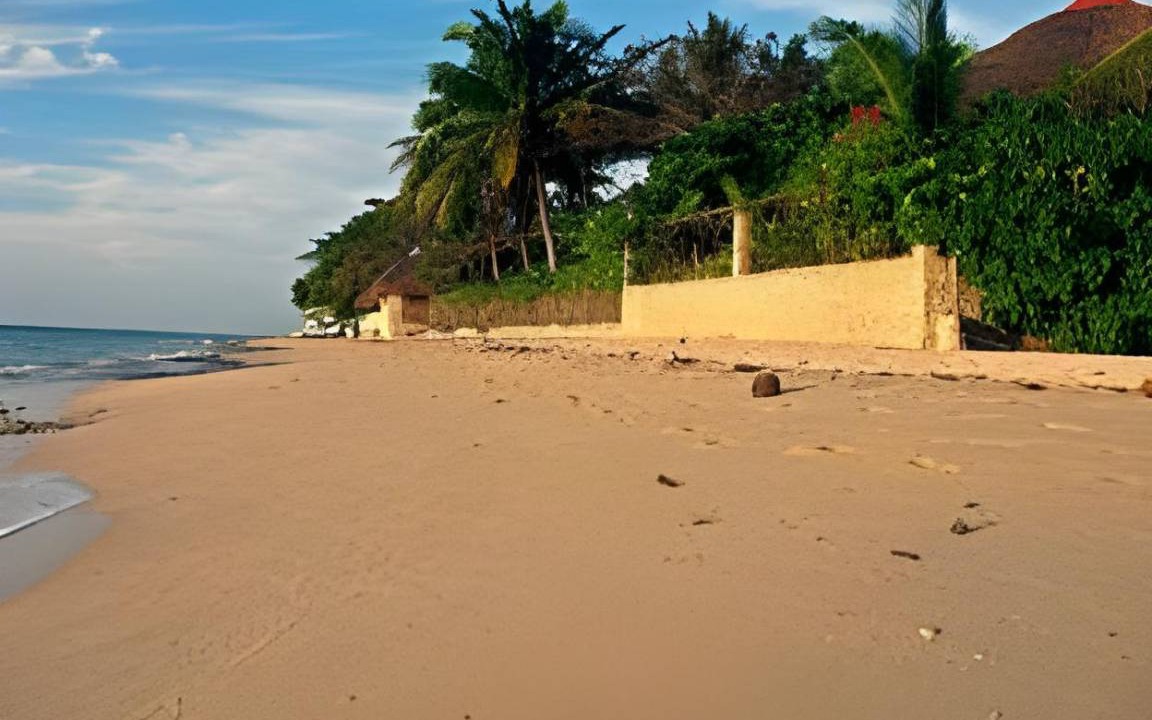 Photo of Others in Moalboal