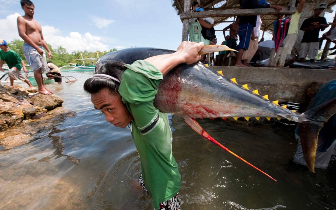 Photo of Others in Bacnotan