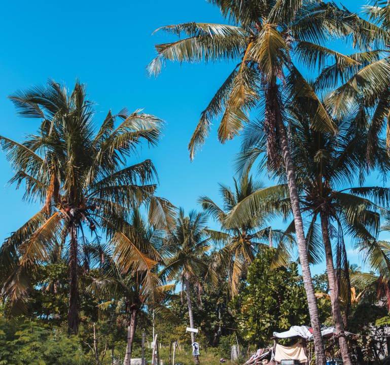 Photo of Others in Daanbantayan