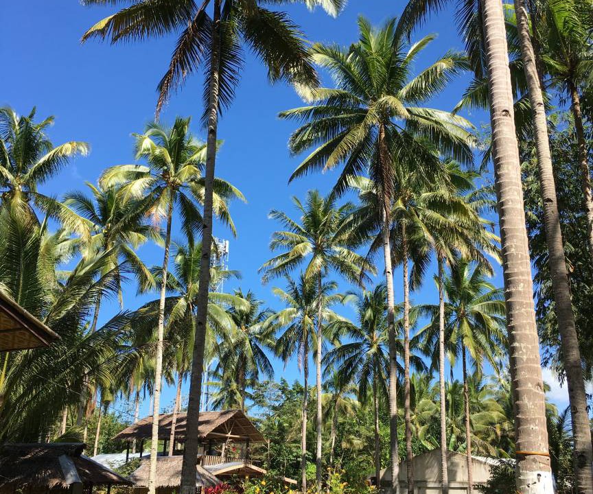 Photo of Others in Batuan