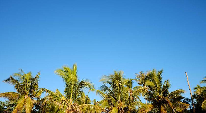 Photo of Others in Daanbantayan
