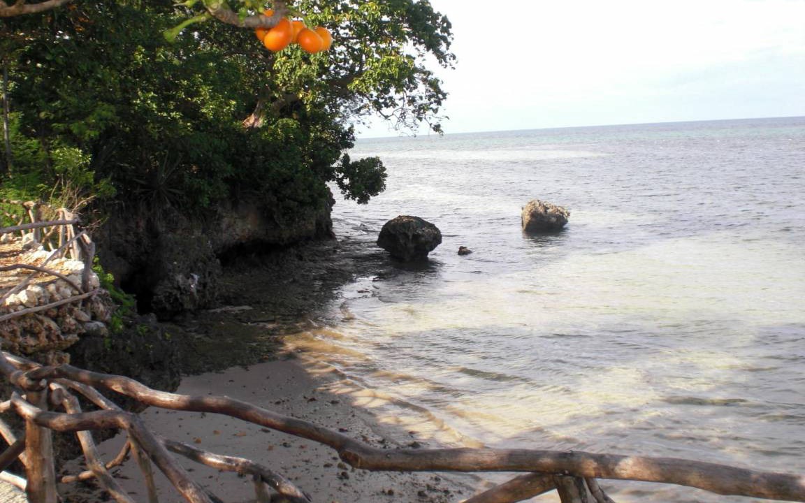 Photo of Others in Tamiao