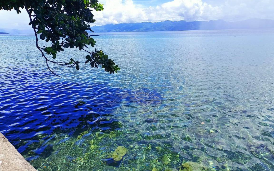 Photo of Others in Leyte Island