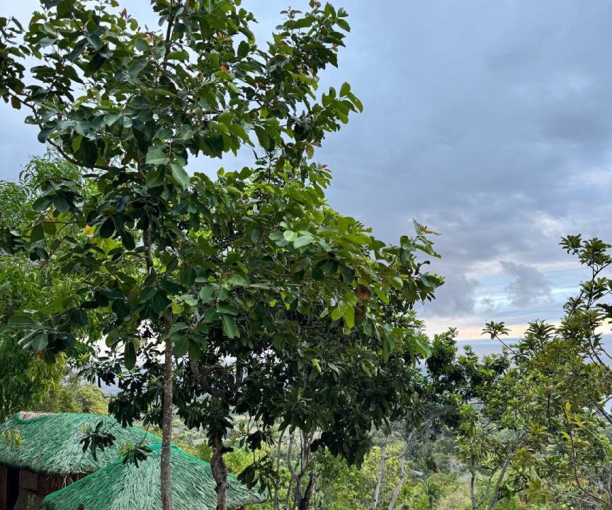 Photo of Others in Oslob