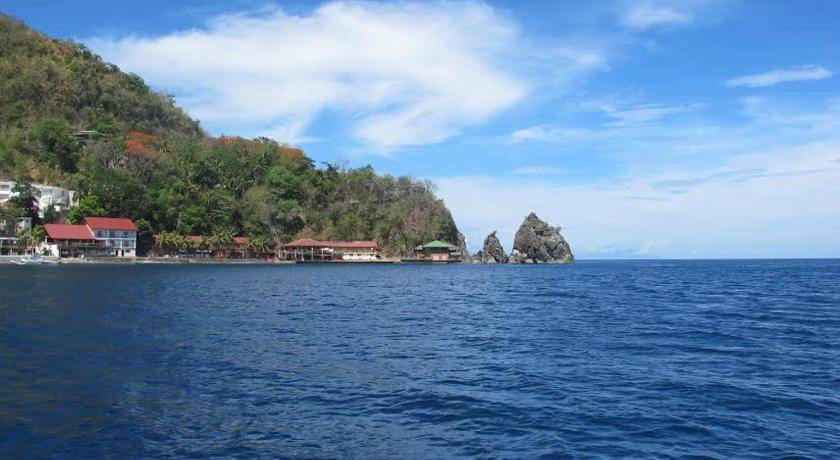 Photo of Others in Anilao