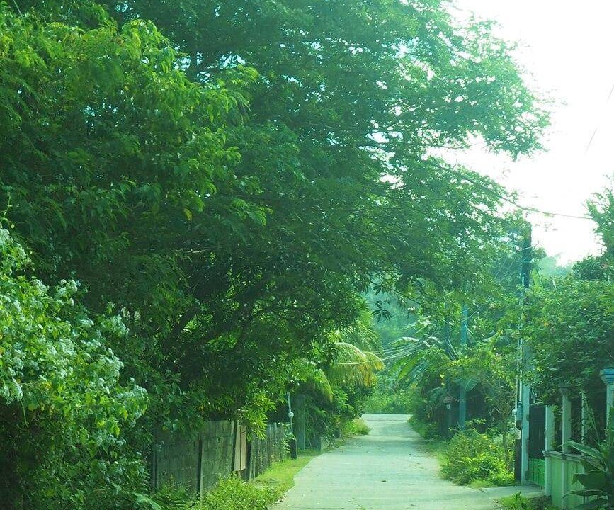 Photo of Others in Bacnotan