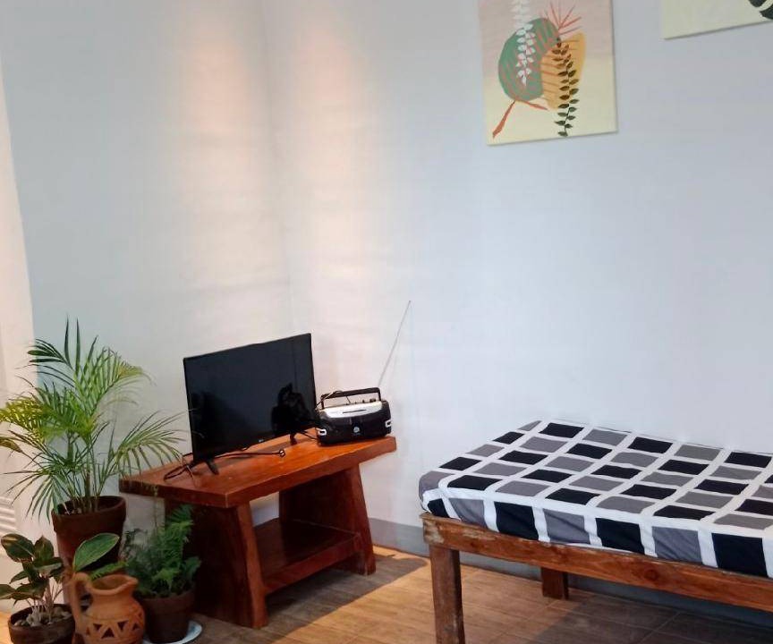 Photo of Livingroom in Santo Tomas