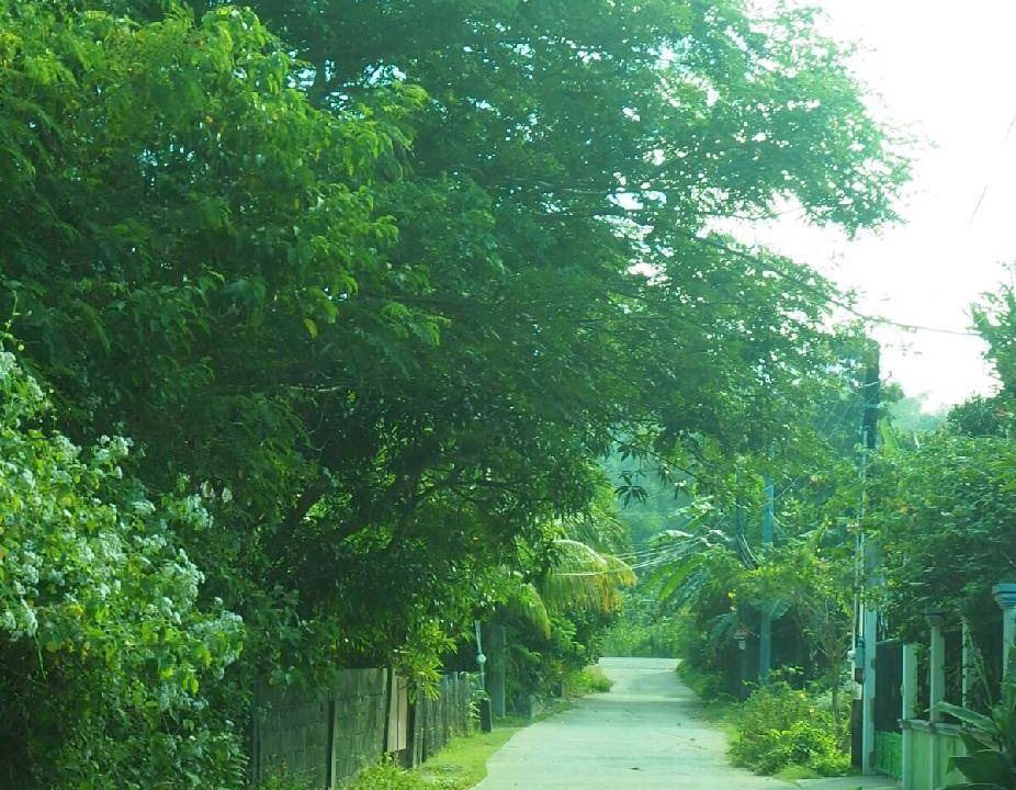 Photo of Others in Bacnotan