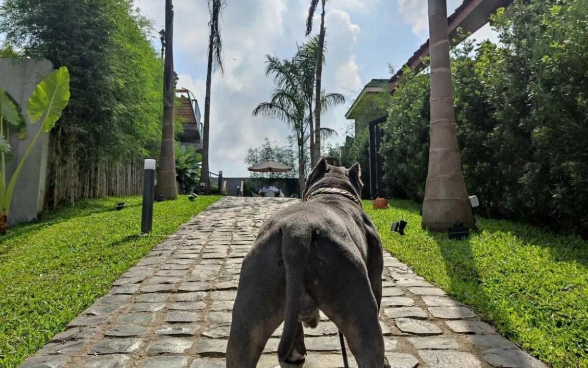 Photo of Others in Buck Estate