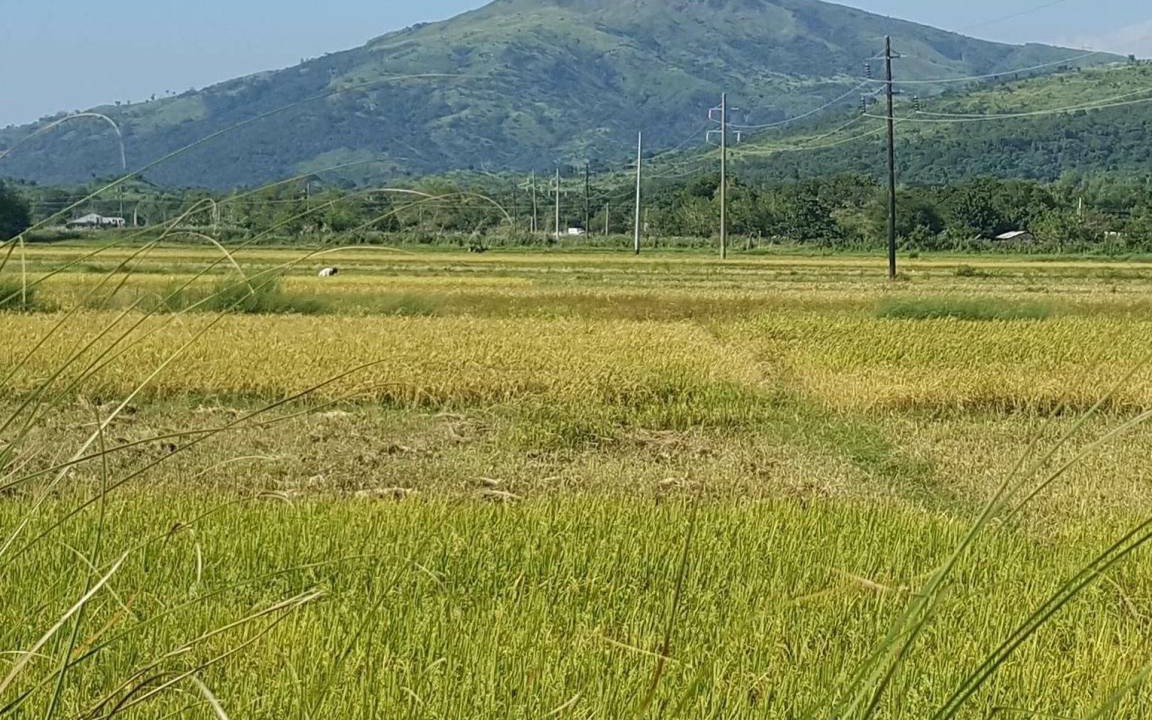 Photo of Others in Cabangan