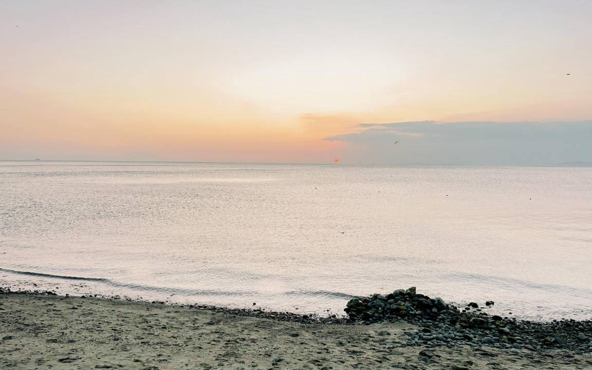 Photo of Others in Anilao