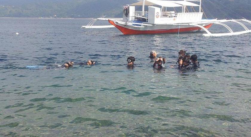 Photo of Others in Anilao