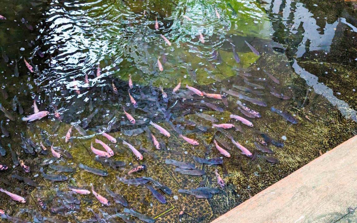 Photo of Others in San Juan