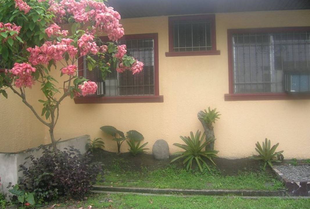 Photo of Others in Luzon