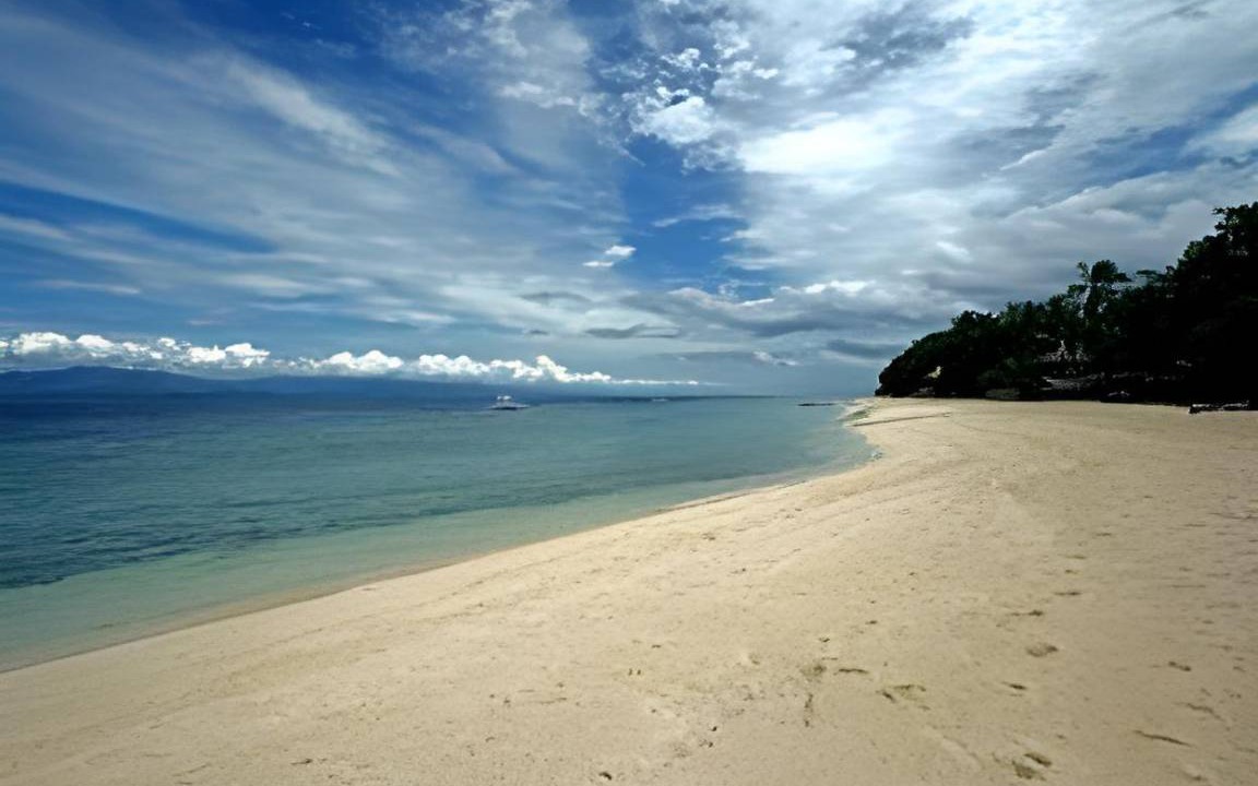 Photo of Others in Moalboal