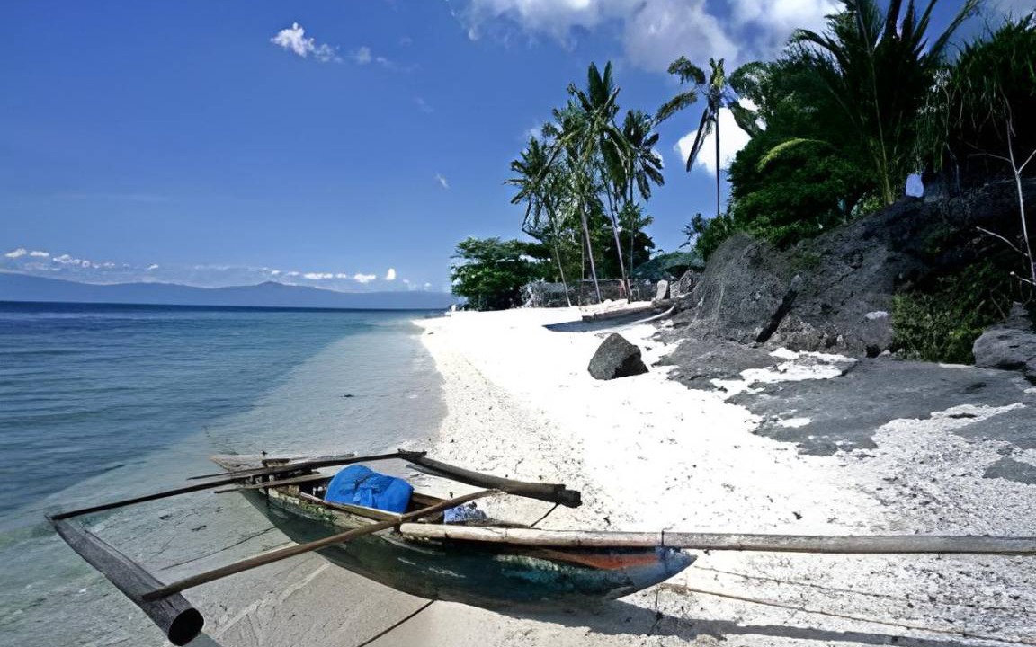 Photo of Others in Moalboal