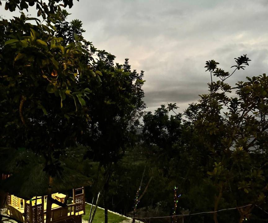 Photo of Others in Oslob