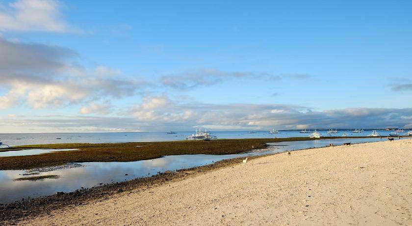 Photo of Others in Daanbantayan
