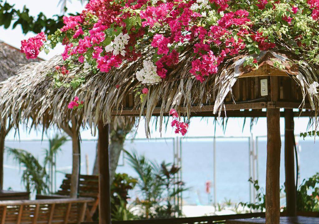 Photo of Others in Puerto Galera