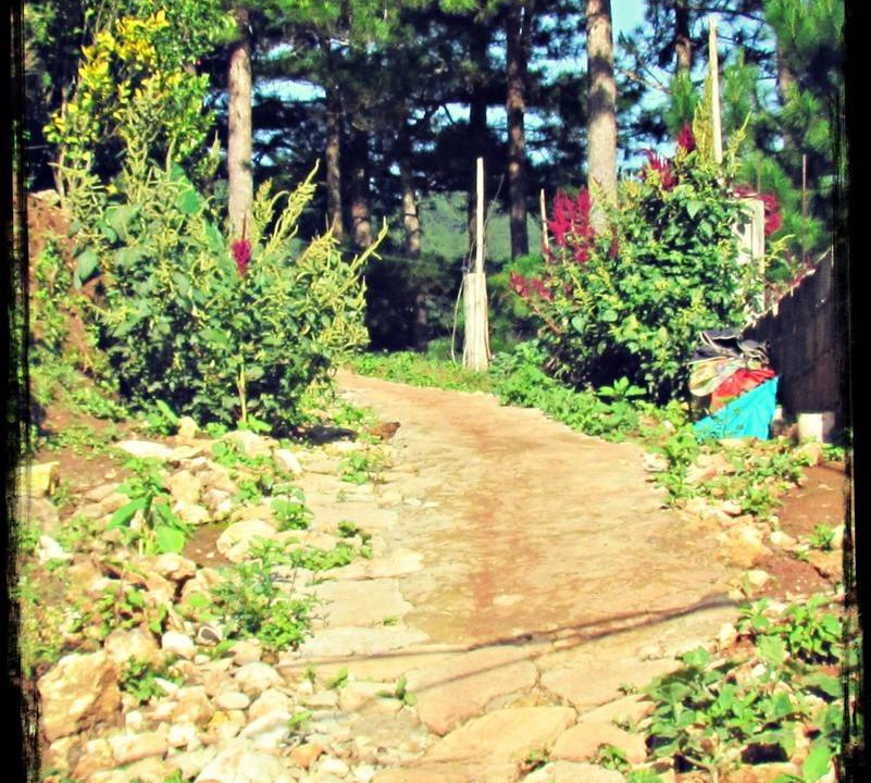Photo of Others in Sagada