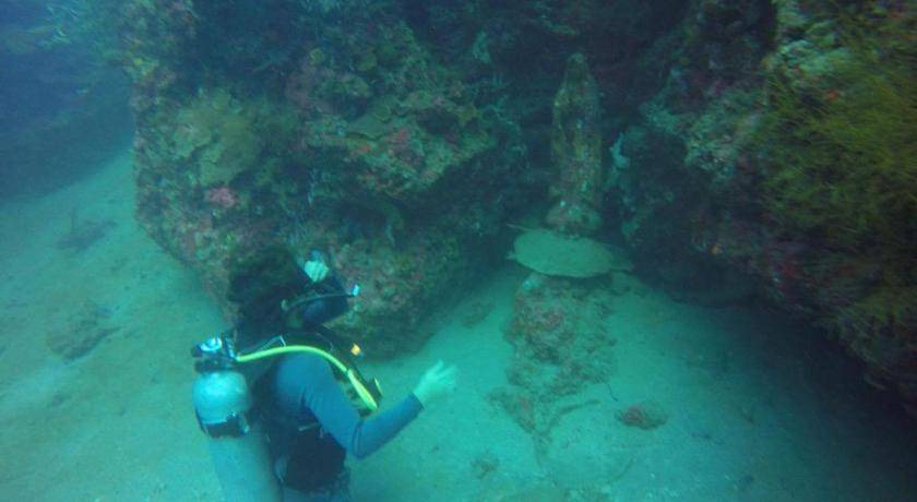 Photo of Others in Anilao