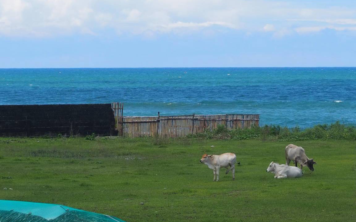 Photo of Others in Bacnotan