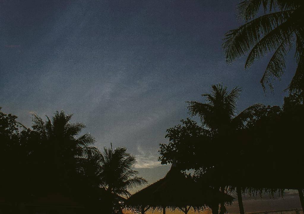 Photo of Others in Puerto Galera