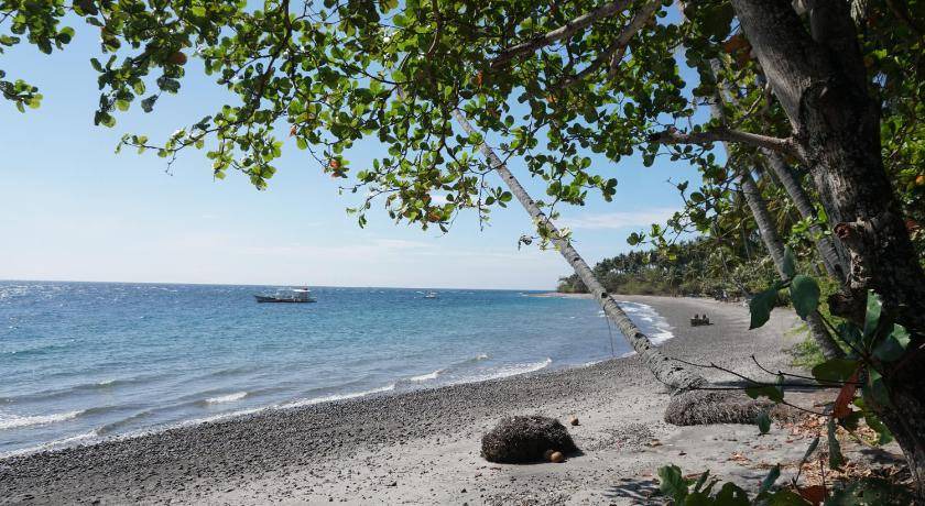 Photo of Others in Zamboanguita