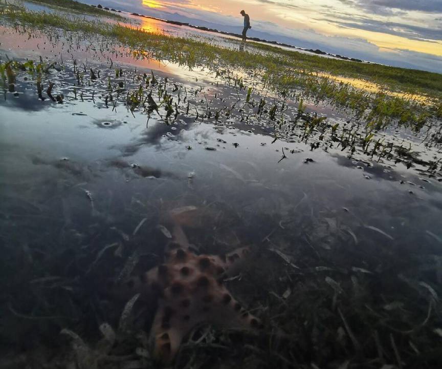 Photo of Others in Samboan