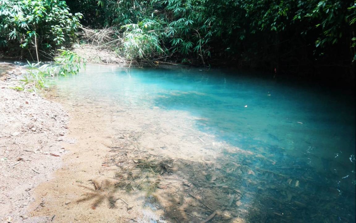 Photo of Others in Coron