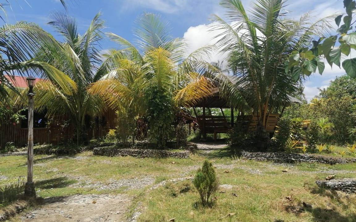 Photo of Others in Maria
