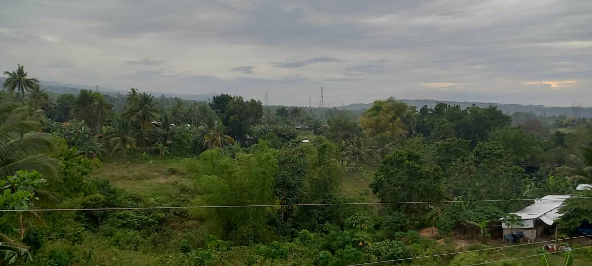 Photo of Others in Badian
