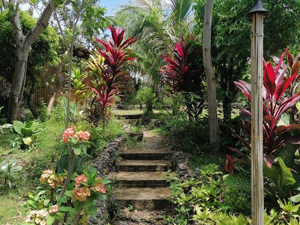 Photo of Others in Maria