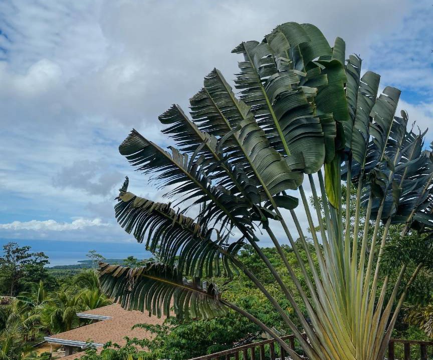 Photo of Others in San Juan