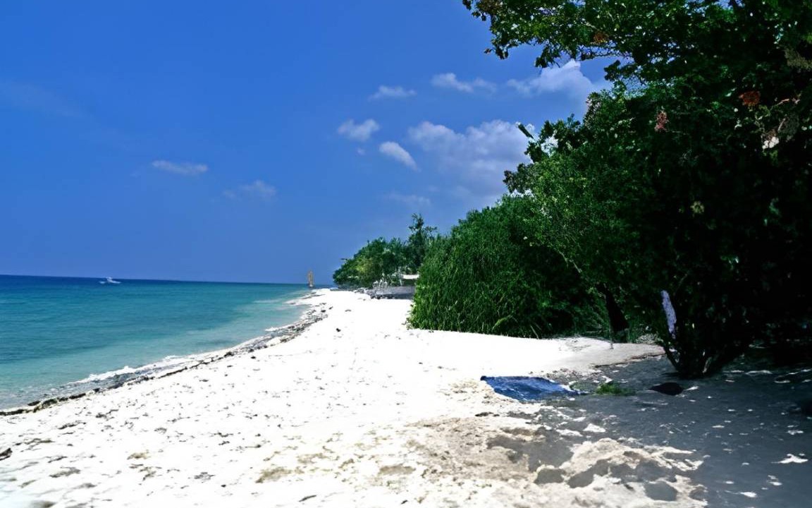 Photo of Others in Moalboal