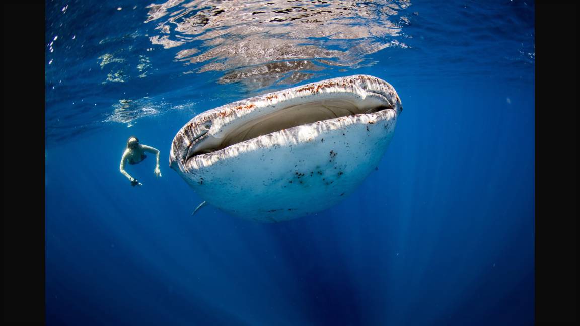 Photo of Others in Pili