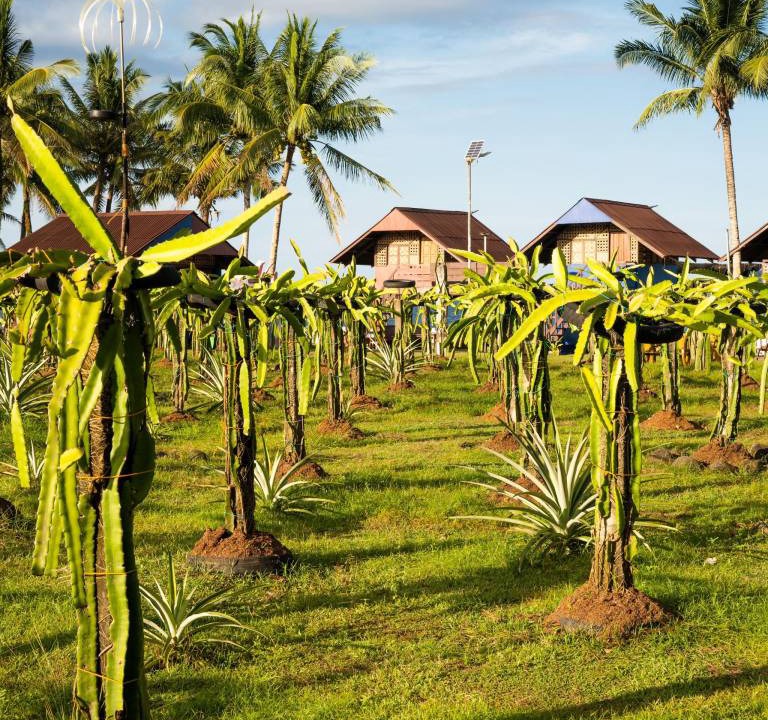 Photo of Others in Hinunangan