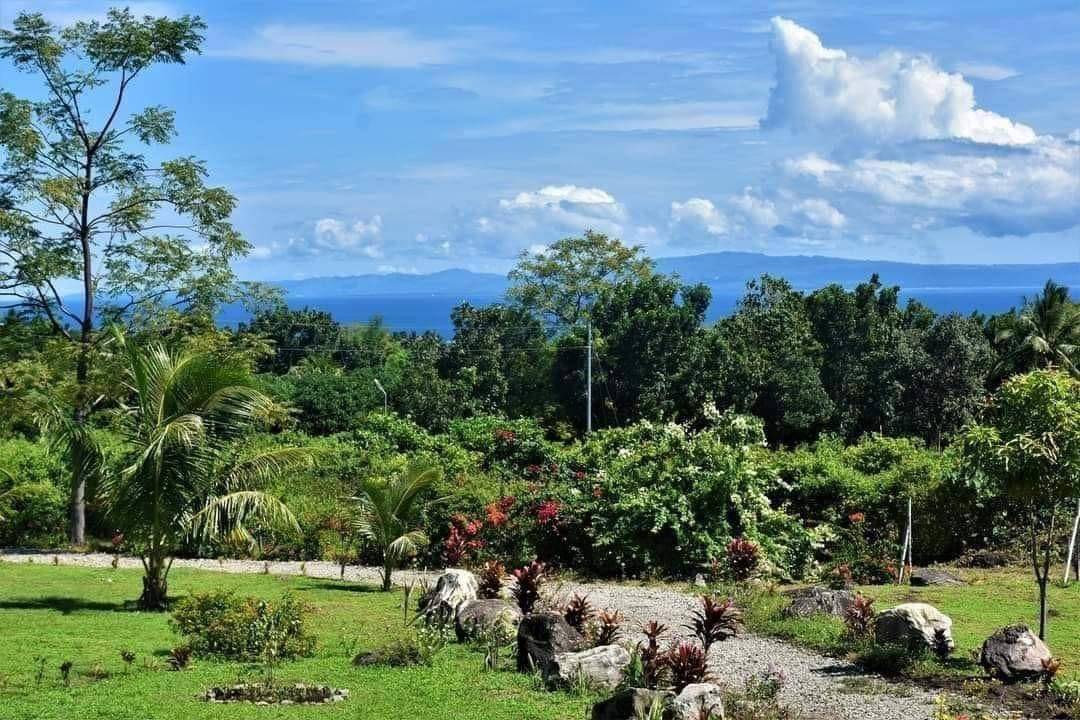 Photo of Others in Dauin