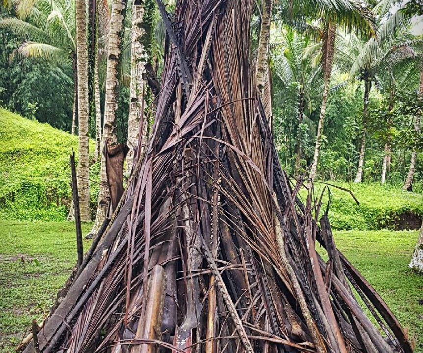 Photo of Others in Tupi