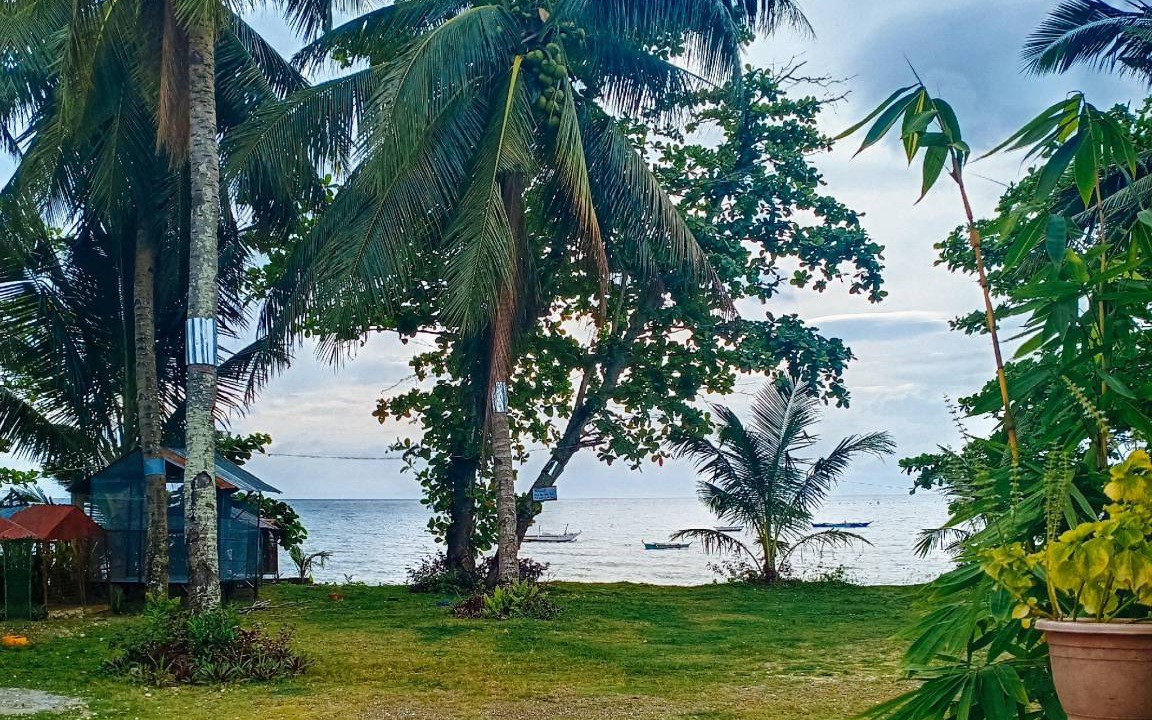Photo of Others in Visayan Islands