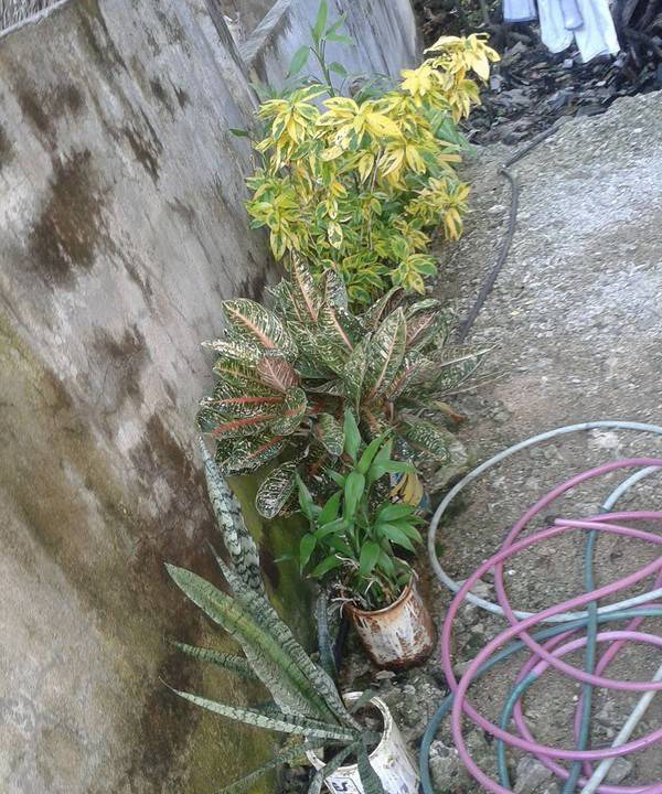 Photo of Outdoor in Anda