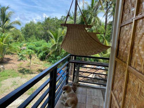 Photo of Patio Balcony in Bayawan City