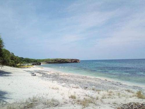 Photo of Others in Patar