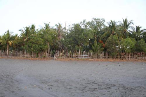 Photo of Others in Sablayan