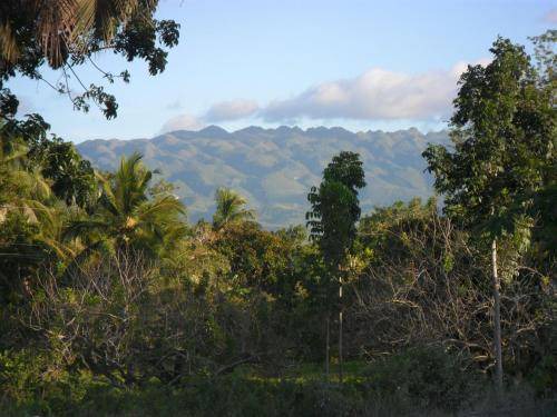 Photo of Outdoor in Moalboal