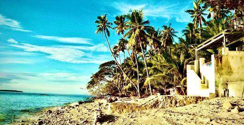 Photo of Others in Oslob
